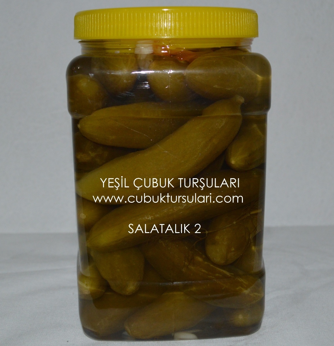 Salatalık Turşusu (2)